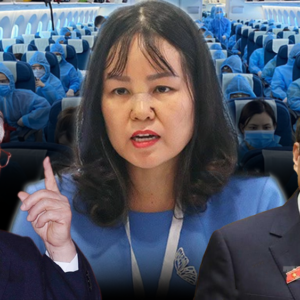 Covid-19: Quy trình vụ án ‘giải cứu hàng không giá cao’ của Việt Nam